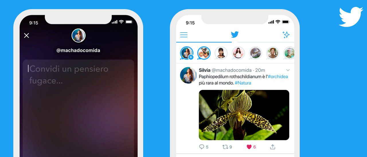 Twitter tests a new button to undo the sending of tweets | The Sun Post