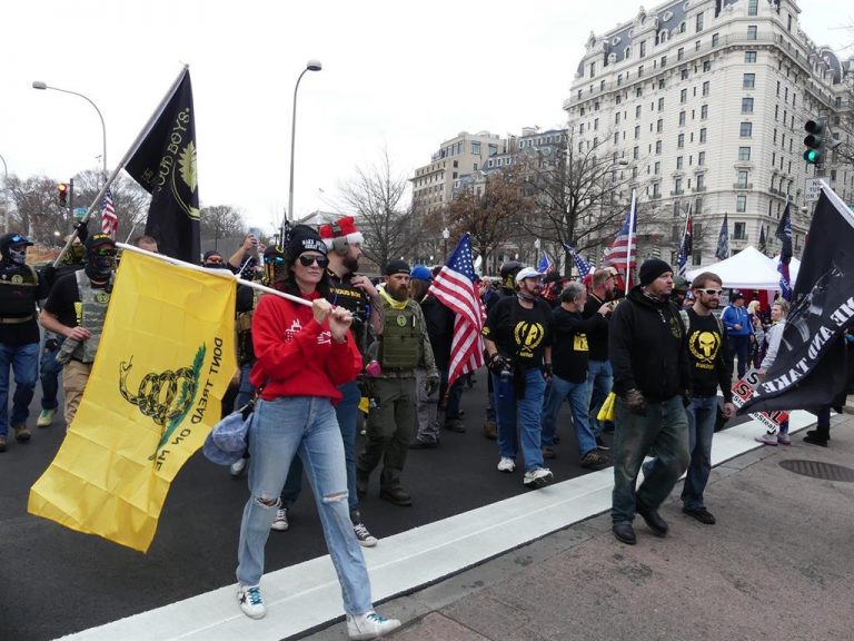 Hundreds of Trump supporters gather in Washington to protest Biden’s victory