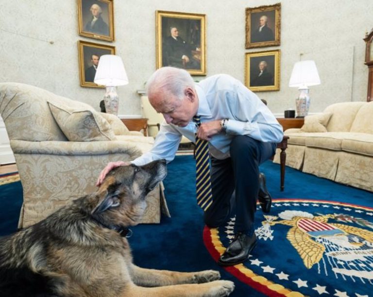 The White House announces the death of ‘Champ’, one of President Biden’s dogs